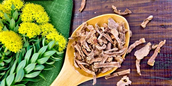 فواید روزا اسپورت هلث 120 عددی