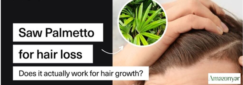 طریقه مصرف گیاه نخل اره ای