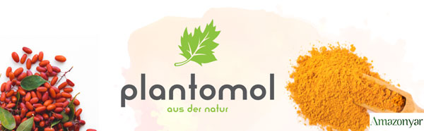 مکمل بربرین کورکومین plantomol برای کاهش قند خون