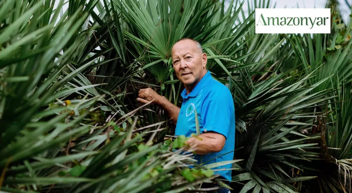 کپسول ساوپالمتو