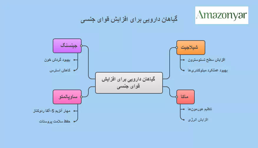آیا گیاهان دارویی تقویتی با داروهای شیمیایی تداخل دارند؟
