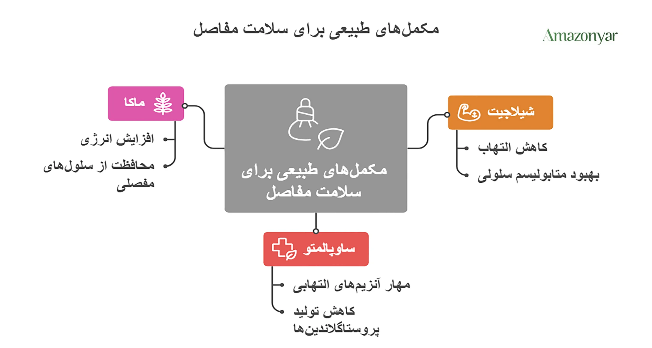 نقش مکمل های طبیعی در کنترل التهاب
