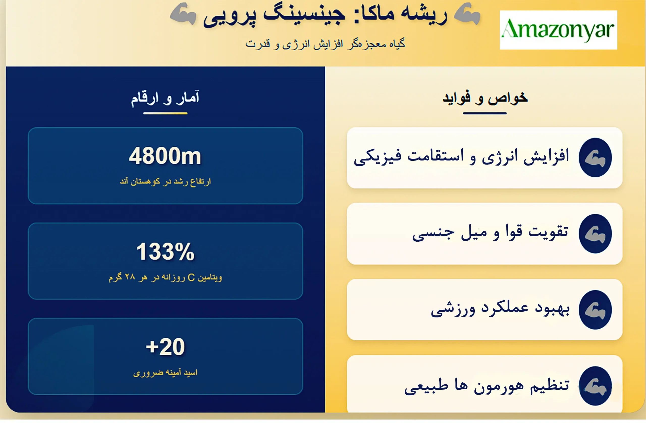 شناخت انواع ماکا و تفاوت آنها