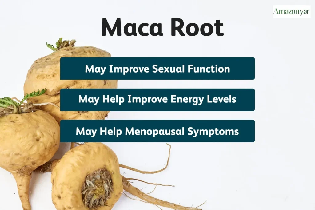 بهترین زمان مصرف ماکا|نکات تکمیلی استفاده از ماکا
