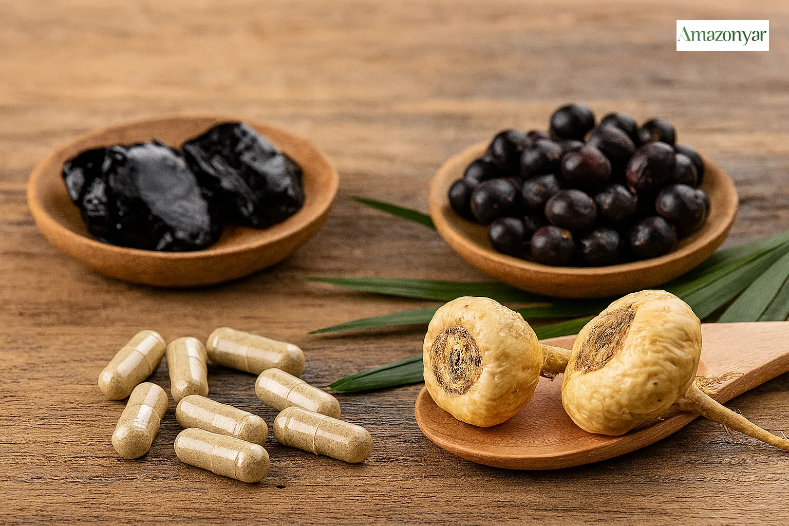 شیلاجیت: کوه طلای انرژی و نشاط